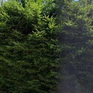 obrazek: avatar KOTLÁŘOVÁ MARTINA