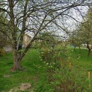 obrazek: avatar SALONEK PICASSO