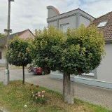 ORLICKÝ KONZUM, OBCHODNÍ A VÝROBNÍ DRUŽSTVO Kostelec nad Orlicí