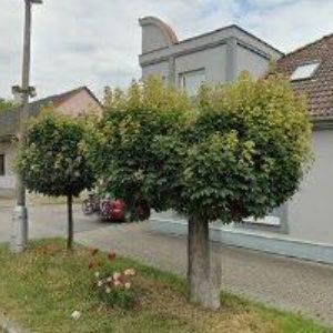 obrazek: avatar ORLICKÝ KONZUM, OBCHODNÍ A VÝROBNÍ DRUŽSTVO Kostelec nad Orlicí