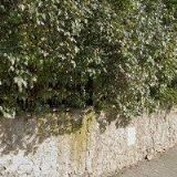 BARTOŠOVÁ MIROSLAVA