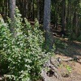 ČVANČARA STANISLAV ZÁMEČNICKÉ PRÁCE TRUTNOV