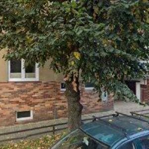 obrazek: avatar TKAČENKO LUDMILA ALEXANDRA