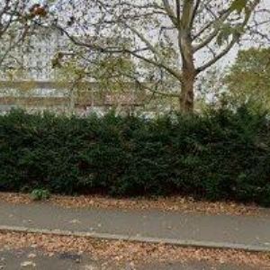 obrazek: avatar MONSIEUR LARDON s.r.o.