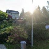 BULÍŘOVÁ MARTINA DiS.