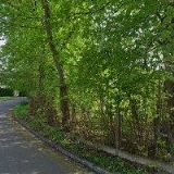 PŮJČOVNA SVATEBNÍCH A SPOLEČENSKÝCH ŠATŮ CHOMUTOV