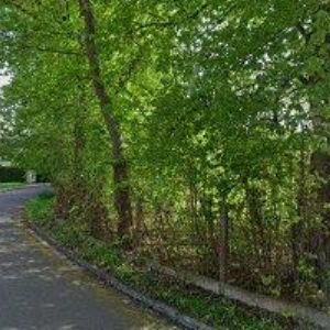 obrazek: avatar PŮJČOVNA SVATEBNÍCH A SPOLEČENSKÝCH ŠATŮ CHOMUTOV