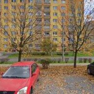 obrazek: avatar ŠTEJNAROVÁ JAROSLAVA-TANEČNÍ KOSTÝMY