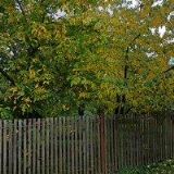 BURIANOVÁ TEXTIL-KOBERCE