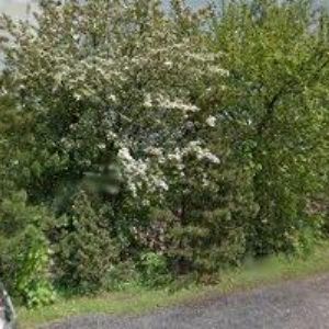 obrazek: avatar TRNKA MARTIN