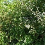 KADEŘNICKÝ SALÓN CARMEN