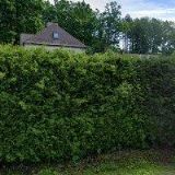 KNAPOVÁ LIBUŠE MUDr.