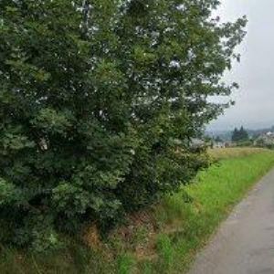 obrazek: avatar S.U.C. , s.r.o.