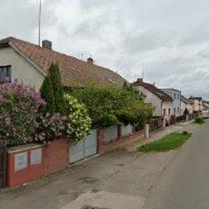 obrazek: avatar MYSLIVECKÉ SDRUŽENÍ POLABSKÁ LUČINA