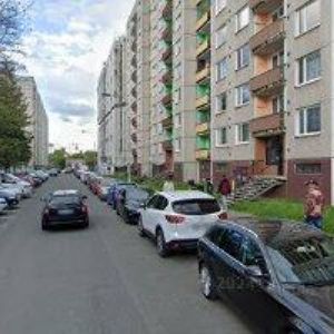 obrazek: avatar PEŠKOVÁ MARTINA