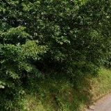 MACHOVA LUCIE-MALOVANY OBCHOD