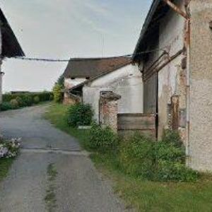 obrazek: avatar NOSKOVÁ ANNA