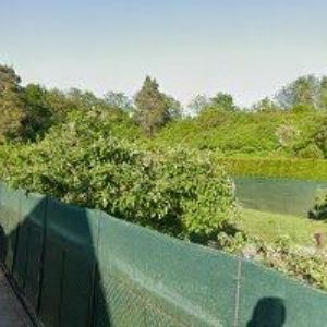 obrazek: avatar BONSAI CENTRUM s.r.o.