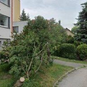 obrazek: avatar LEA DESIGN