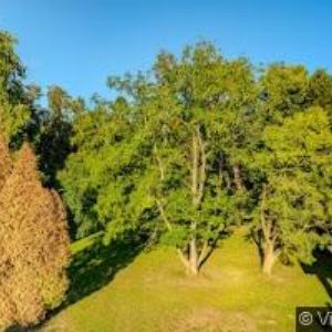 obrazek: avatar OVOCNÁŘSKÁ UNIE ČESKÉ REPUBLIKY