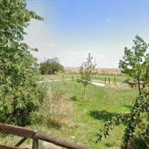 obrazek: avatar MALOVANÁ TRIKA