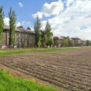 obrazek: avatar ČAPKOVÁ DAGMAR