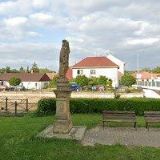 KONÁŠOVÁ VLADISLAVA MVDr.