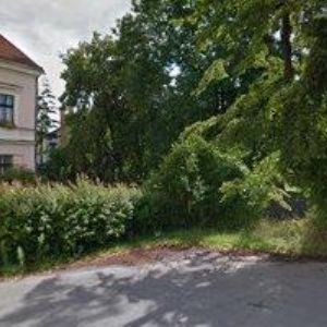 obrazek: avatar KLEJMOVÁ IVA MUDr.