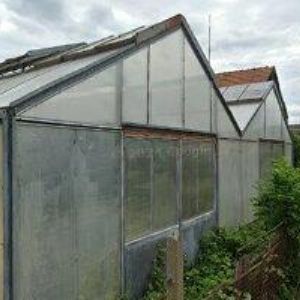 obrazek: avatar SEJKORA VÁCLAV