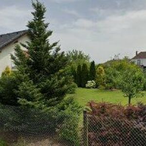 obrazek: avatar DUŠEK ZDENĚK