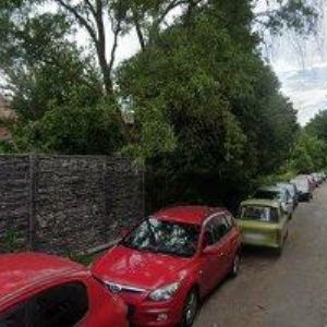 obrazek: avatar ČESKÝ SVAZ CHOVATELŮ OKRESNÍ ORGANIZACE Trutnov