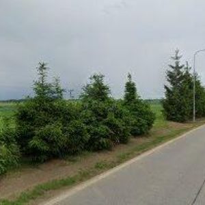 obrazek: avatar ŠURAN JIŘÍ Ing.