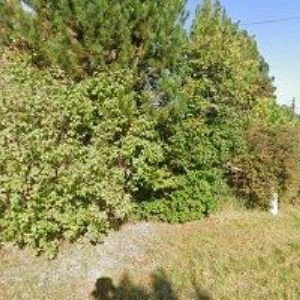 obrazek: avatar WERANET s.r.o.