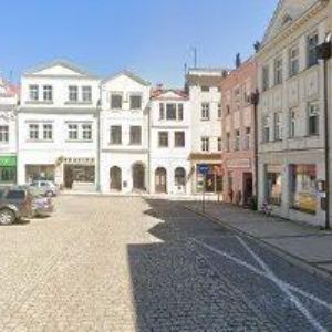 obrazek: avatar PSÍ SALON GINA