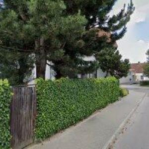 obrazek: avatar MINIKARY.CZ