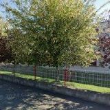 PRVNÍ SOUKROVÁ ZÁKLADNÍ ŠKOLA V HRADCI KRÁLOVÉ