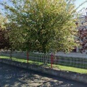 obrazek: avatar PRVNÍ SOUKROVÁ ZÁKLADNÍ ŠKOLA V HRADCI KRÁLOVÉ