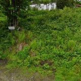 SPOLEČENSTVÍ VLASTNÍKŮ JEDNOTEK BYTOVÉHO DOMU PRIMÁTOR čp.295