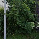 A 2000 PRŮMYSLOVÁ ELEKTRONIKA s.r.o.