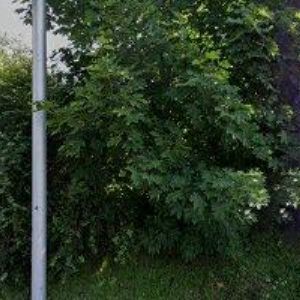 obrazek: avatar A 2000 PRŮMYSLOVÁ ELEKTRONIKA s.r.o.