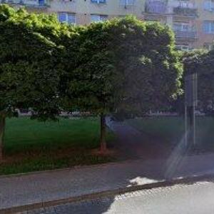 obrazek: avatar LUSTYK ROMAN