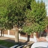 TROK COMPUTER-JIŘÍ TRUTNOVSKÝ