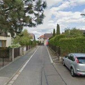 obrazek: avatar PEŠINOVÁ PETRA