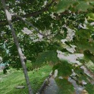 obrazek: avatar M-SERVIS-MÜLLER JOSEF