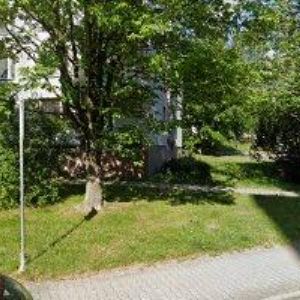 obrazek: avatar MK MONT ILLUMINATIONS