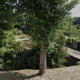 MOSTECKÁ ELEKTROTECHNICKÁ SPOLEČNOST