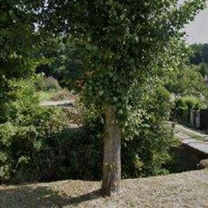 obrazek: avatar MOSTECKÁ ELEKTROTECHNICKÁ SPOLEČNOST