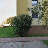 SÁDROKARTON JIČÍN