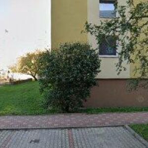 obrazek: avatar SÁDROKARTON JIČÍN