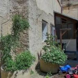 obrazek: avatar ŠIMŮNEK MARTIN